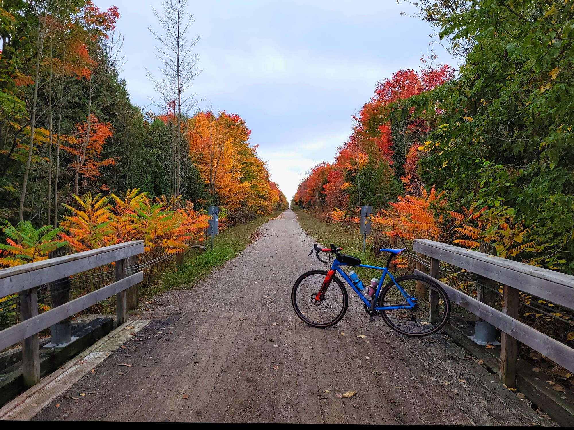Oro-Medonte